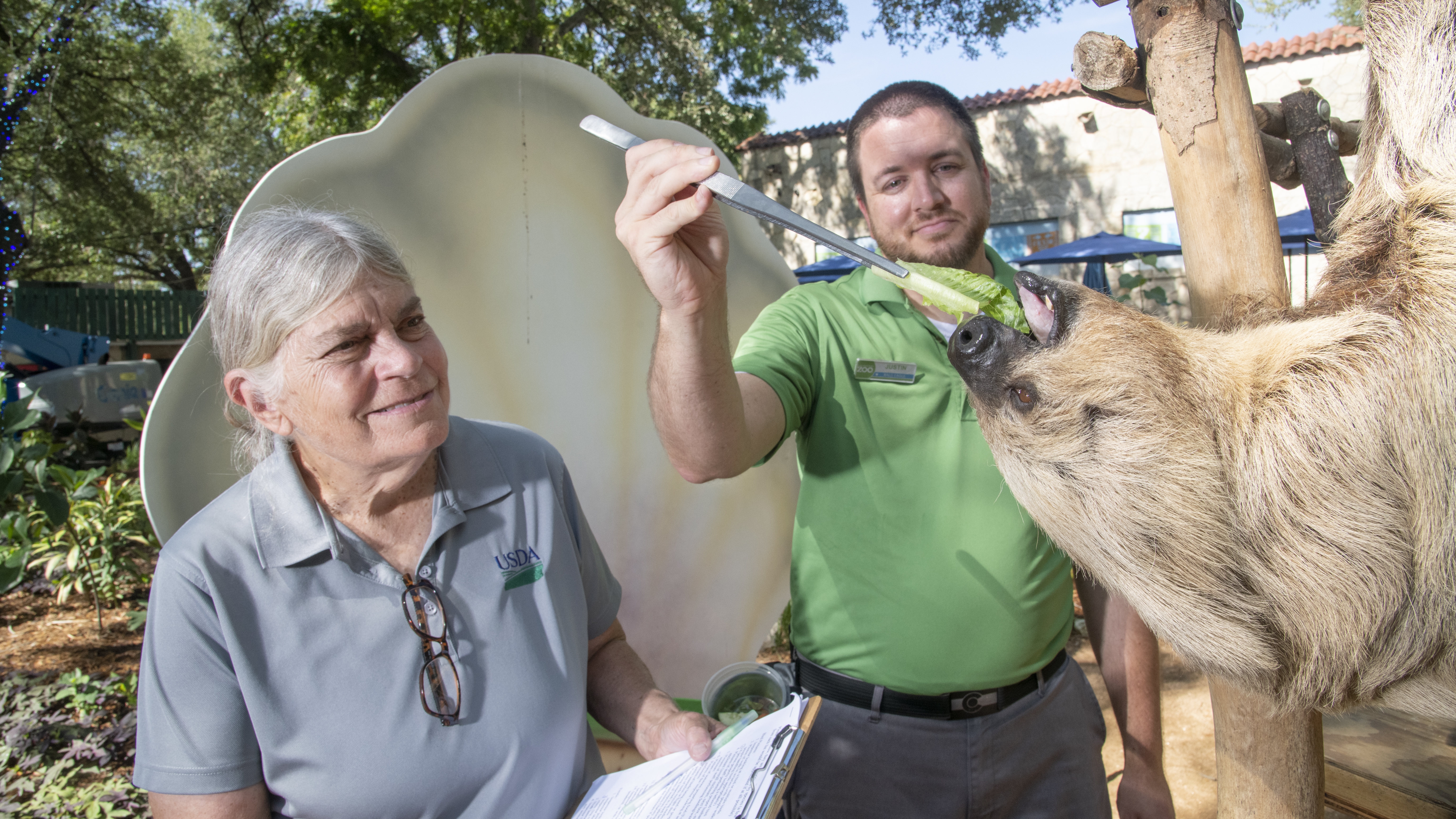 USDA employees caring for a sloth