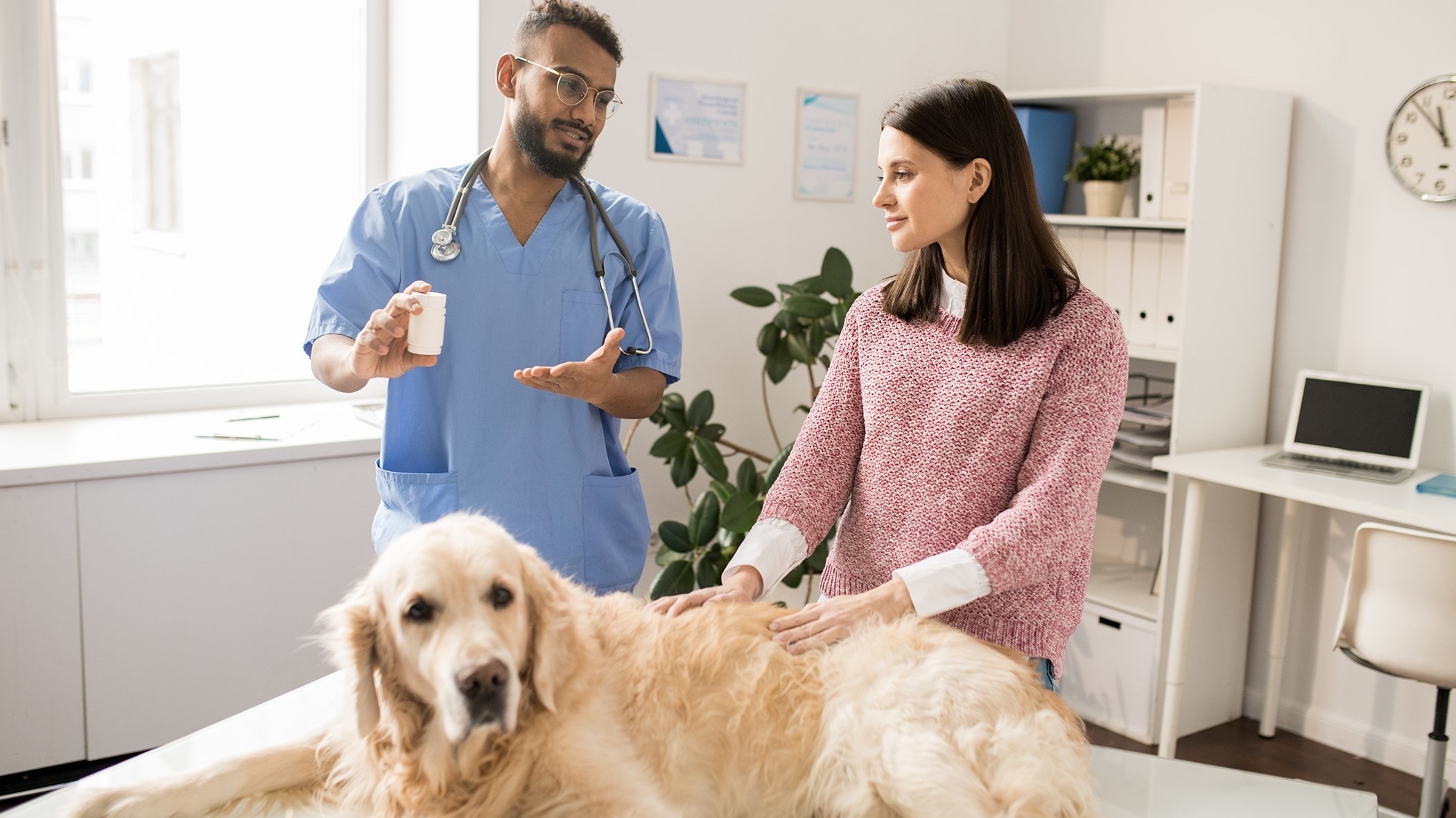 Dogs laying on a table while a male veterinarian talks to a woman.