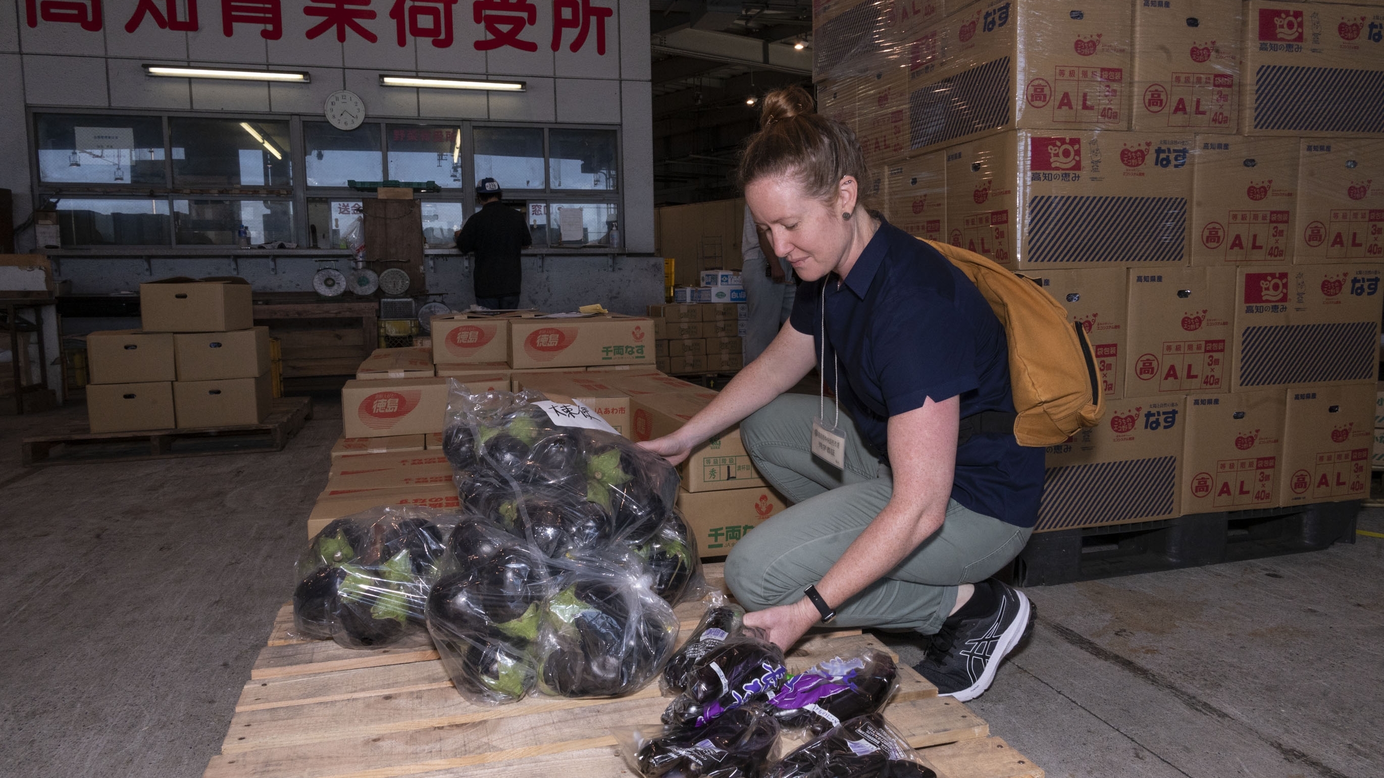 Foreign service officer inspecting bagged eggplants.