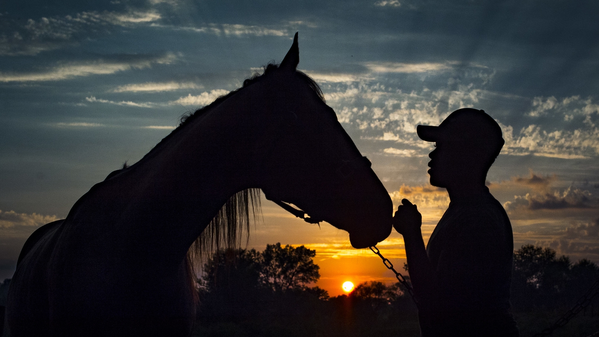 Horse and man silhouette at sunset.