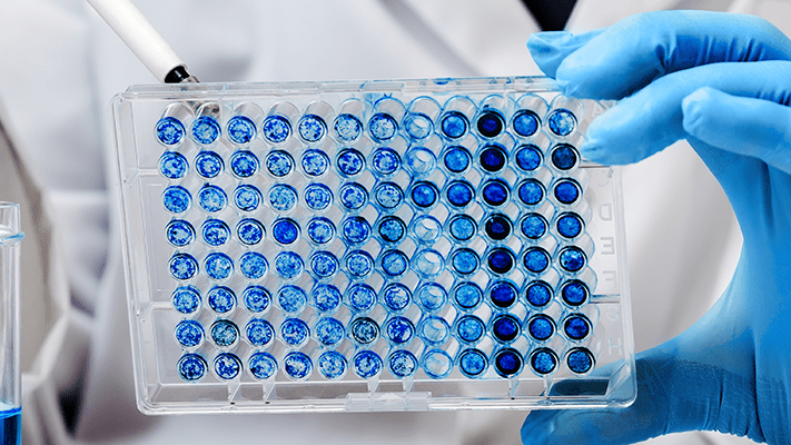 image of gloved hands doing lab work