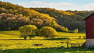 farm pasture with red barn in foreground