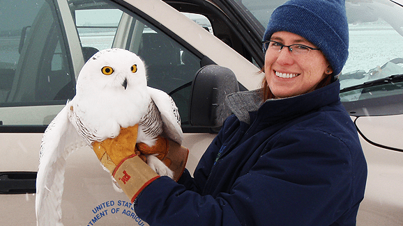 woman in winter clothing and gloves holding a white owl