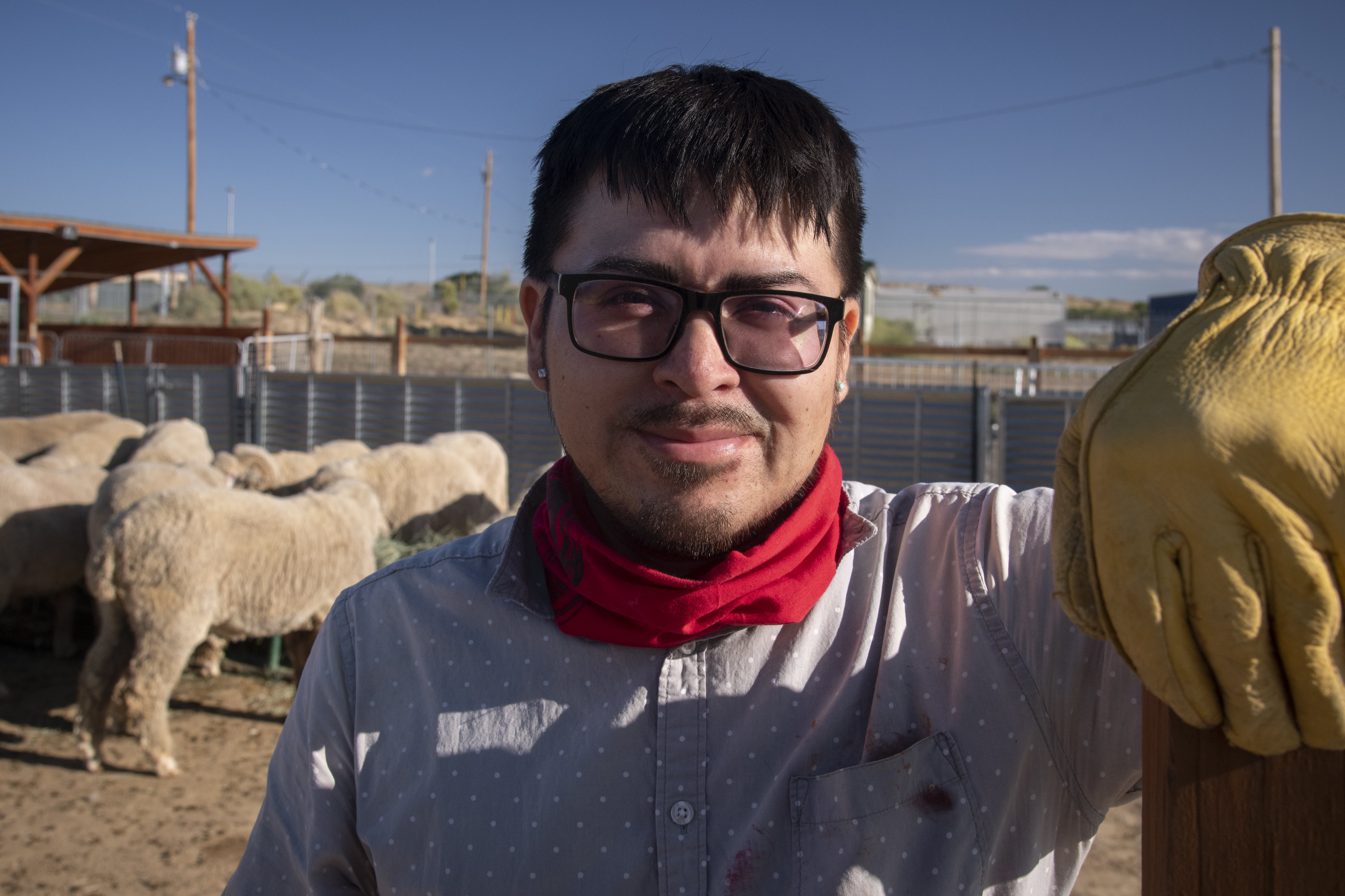 Male farmer wearing work gloves, with livestock in the background