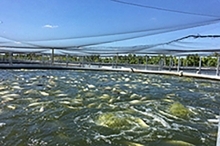 image of a tank on a fish farm