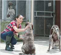 A woman caring for a dog